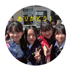 mis,e_20260326121447