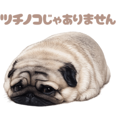 DOG STAMP ORDER_20260326122247