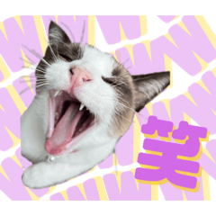 PONPON_20260326131623