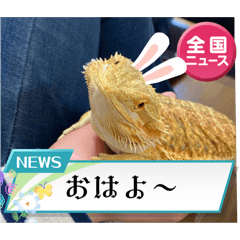 Natsumi(^^)_20260326122504