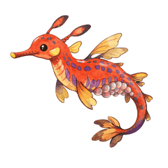 Weedy Seadragon