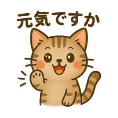 Cute cats of all kinds