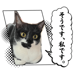 Nakagawa_20260326125308