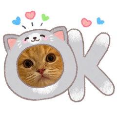 reirer017_20260326012303