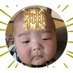 berry_20260326143858