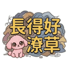 ★可愛貴賓★ ꉂ(˵˃ ᗜ ˂˵)長得好潦草