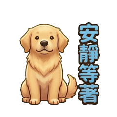 Creamy Golden: Fluffy Doggy Life