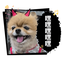 千業的狗狗們