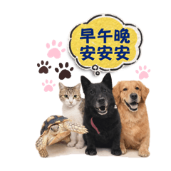 動物園園長的日常