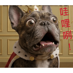 歐小吉的常用01