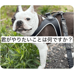 haruo_20260326081329