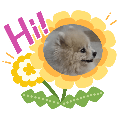 zen's stickers_20260326012852