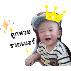 ViewvyPAPAYA_20260326003108