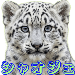 Greetings from the real Xiao Jie!