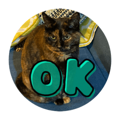 koshi Kira_20260326082235