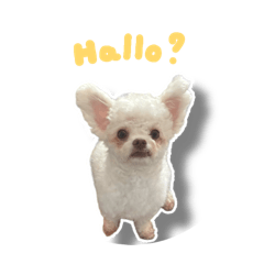 My puppy_20260326085000