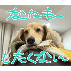 Kyonkyon_20260326111400