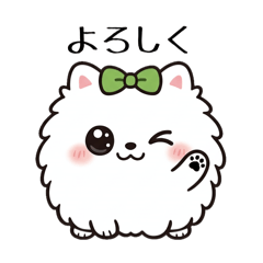 kikuimo.life_20260326143033