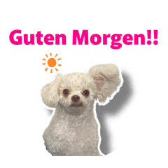 My puppy_20260326113329