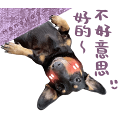 饅布厝用語（饅頭布丁）貼圖1.0