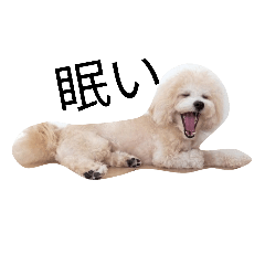 aiueo_20260324193111