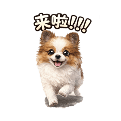 我家狗狗很有事｜日常實用篇