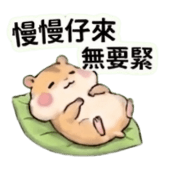 永久實用！台語倉鼠暖心問候