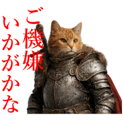 Cat Knight and Greetings