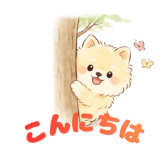 Tempura Pomeranian: Everyday Life