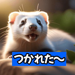 Plump Critters: Daily Reactions