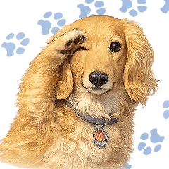 Cheerful Dachshund Sticker