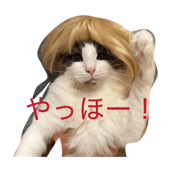 kanta_20260326144652