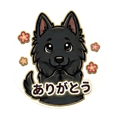 nowakairu_20260326145457