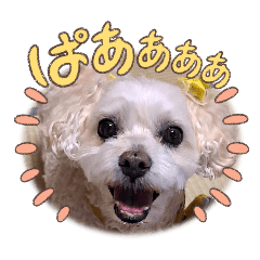 latte175_20260326144722