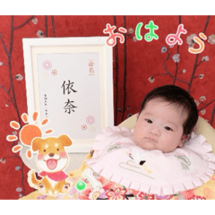 mopisu_20260326150154