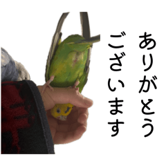 Sakisakinet_20260323172730