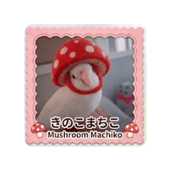 matiko_20260323184443