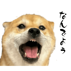 UchuShikou Lab_20260326152042