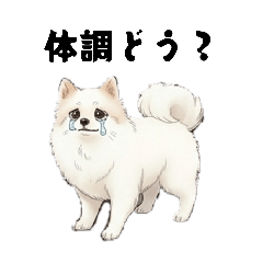 Heidi'sDad_20260326151729