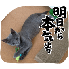 Maeyou_20260326153120