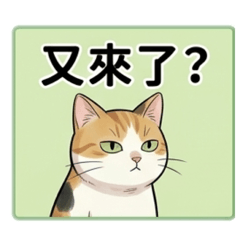 皮蛋的異想世界