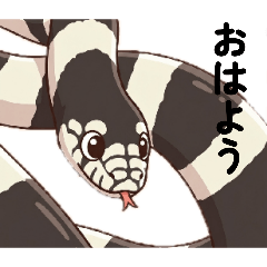 CalikinTV_20260326153517