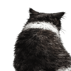 Negatively and cheerfully