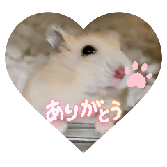 momomo_20260326203531