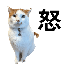 akitu_20260326204540