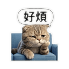 大發大發一定發