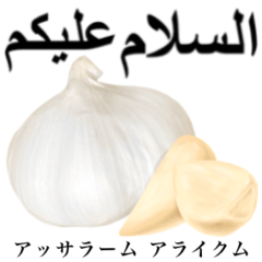 Raw garlic 14