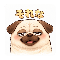 Sorenoa_20260326151807