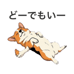 RINON_20260326194913