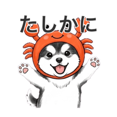 RINON_20260326200244